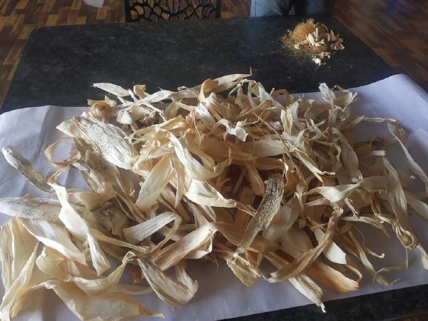 Recycling: From organic waste to handmade paper