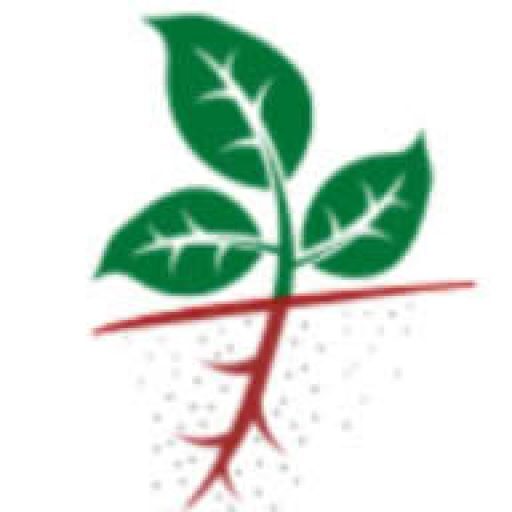 Living Academy